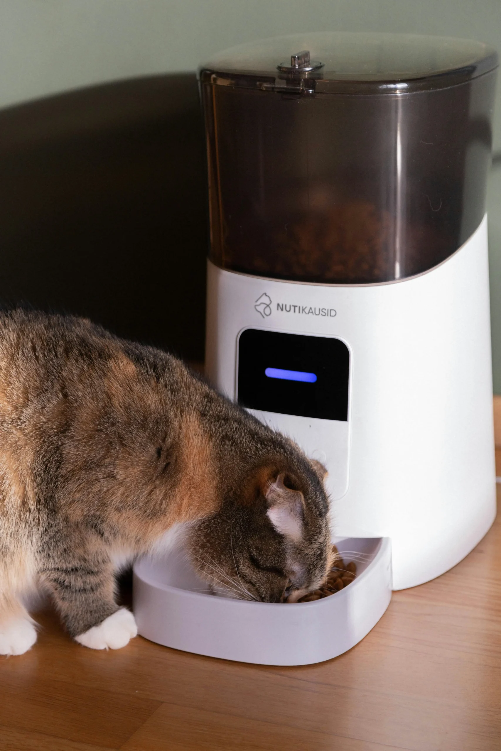 Smart Pet Supplies